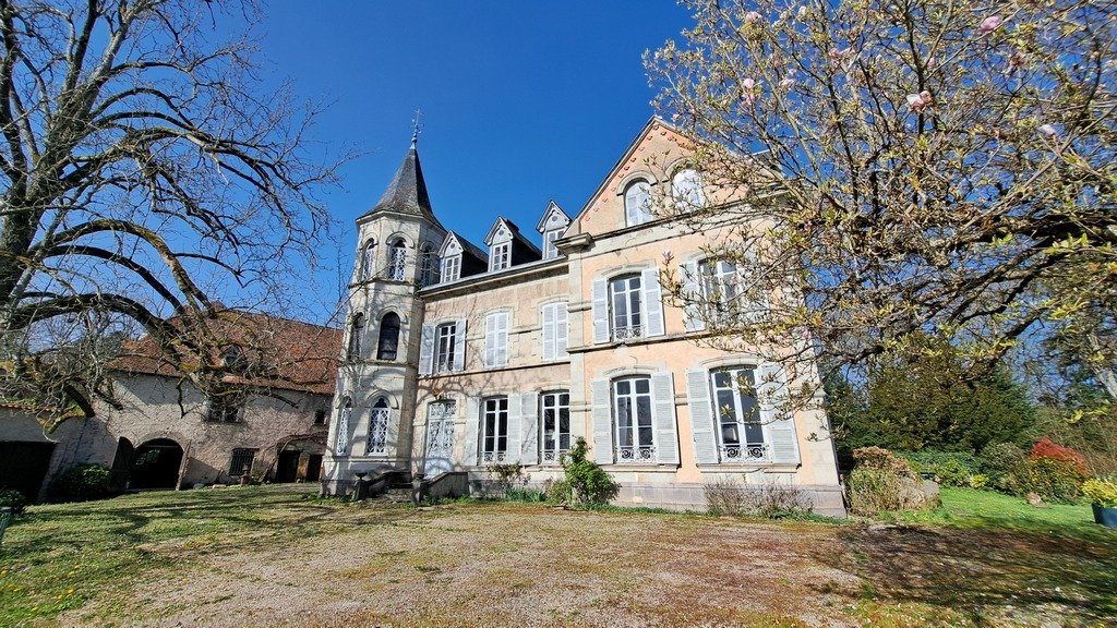 Château des Rêves Éternels: A Napoleon III Masterpiece in Auvergne’s Embrace - 5