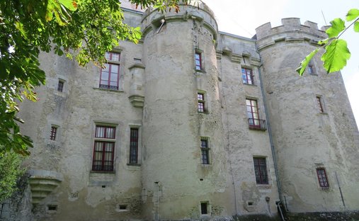 Castle for Sale in Gannat, Auvergne-Rhône-Alpes, France