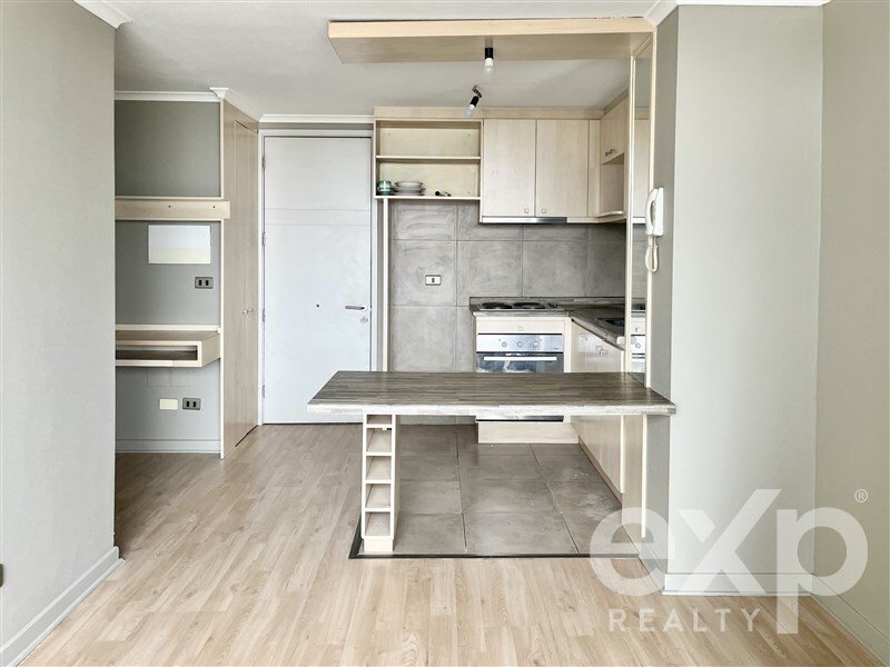 Apartment in Santiago, Santiago Metropolitan Region, Chile 1 - 16130821