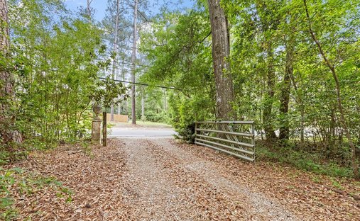 Land in Thomasville, Georgia, United States 1
