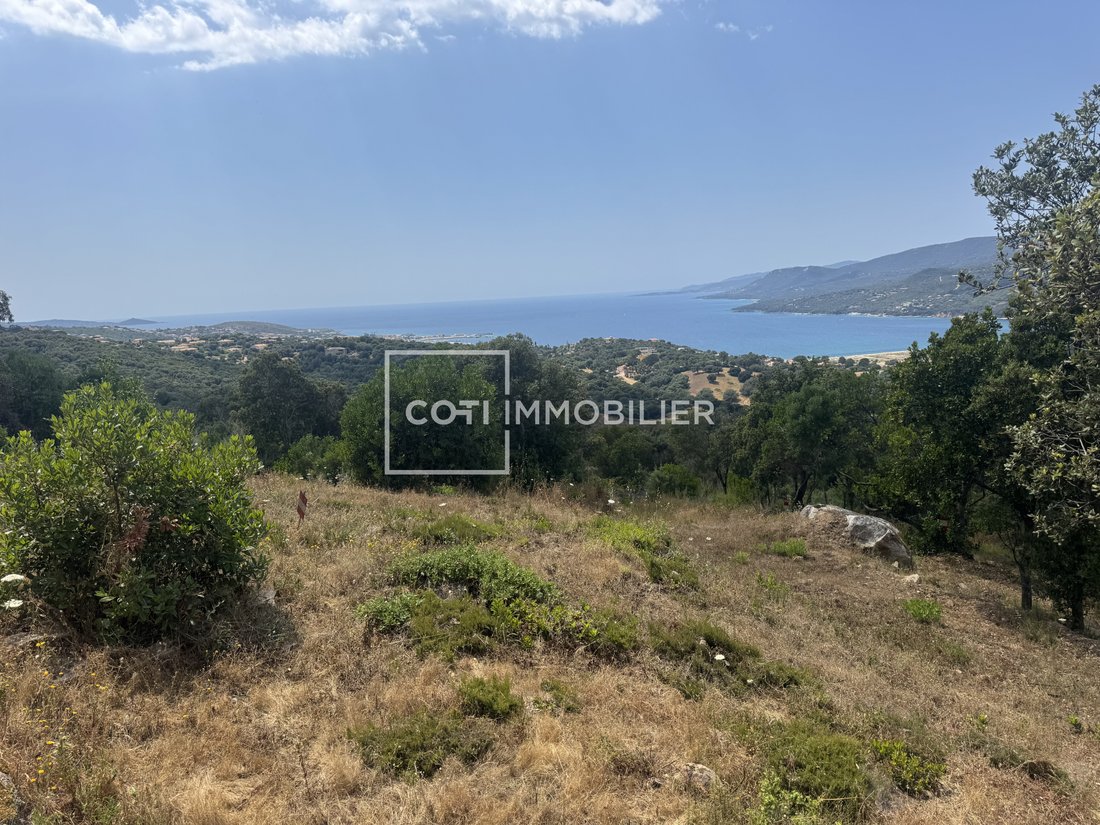 Land in Viggianello, Corsica, France 2 - 16129987