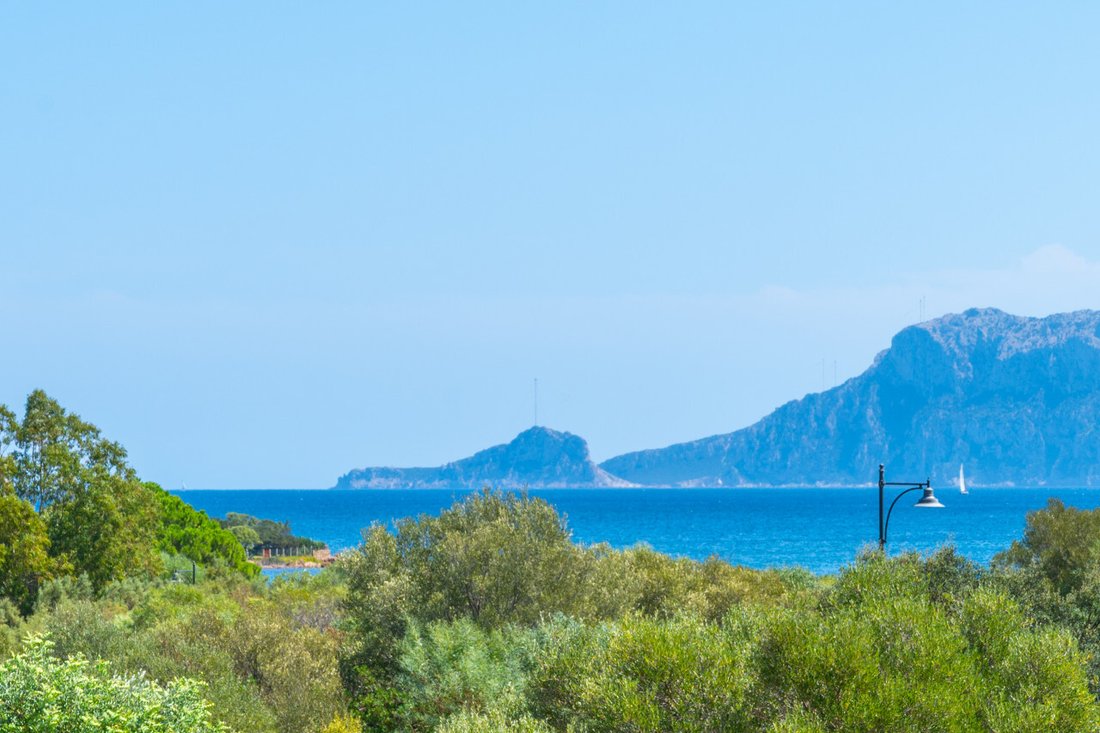 House in Olbia, Sardinia, Italy 4 - 16133322