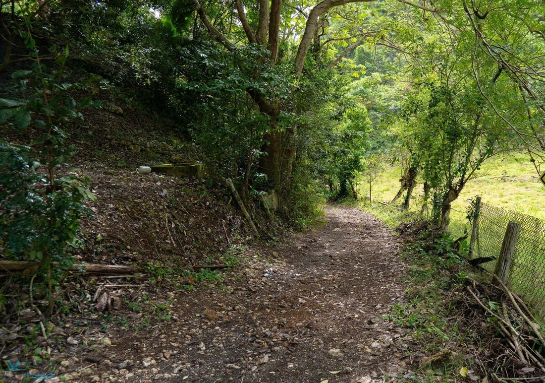 Land in Camuy, Camuy, Puerto Rico 2 - 16130999