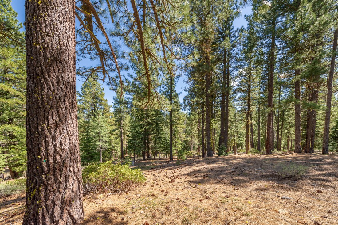 Land in Truckee, California, United States 3 - 16134925