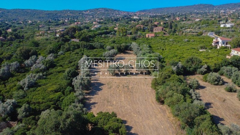 Land in Chios, Aegean, Greece 2 - 16129740