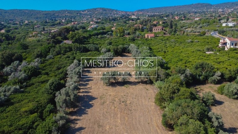 Land in Chios, Aegean, Greece 3 - 16129740