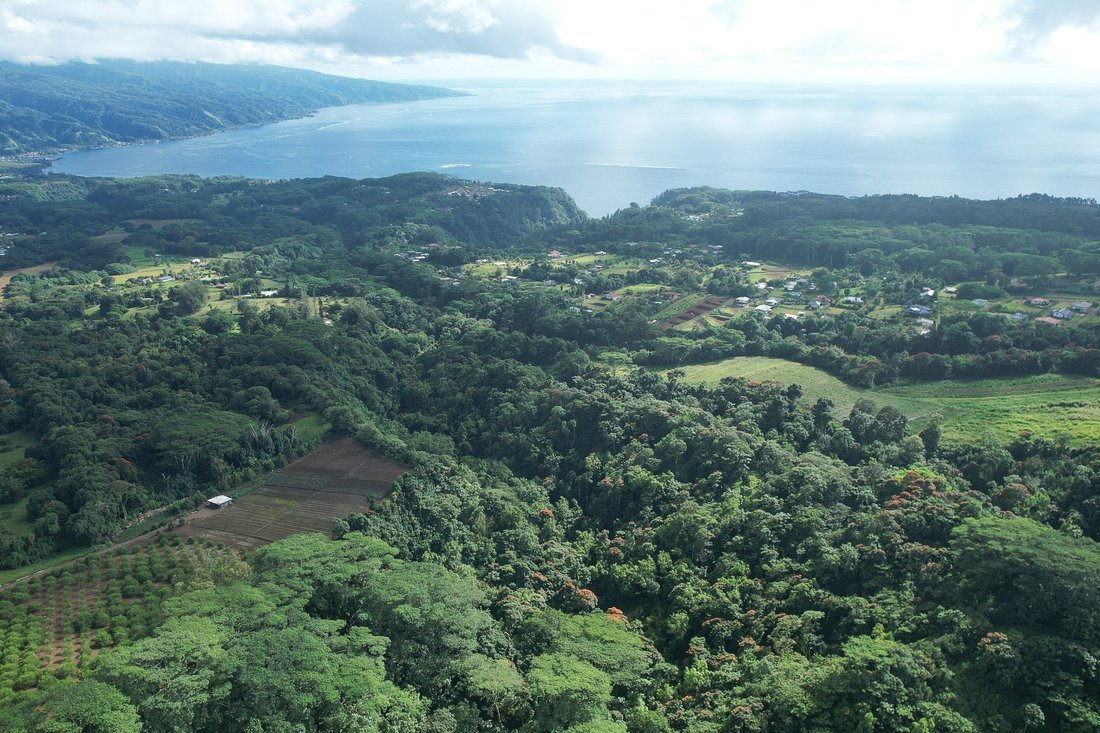 Land in AFAAHITI, Windward Islands, French Polynesia 1 - 16134922