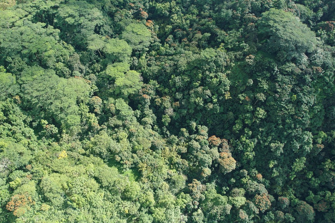 Land in AFAAHITI, Windward Islands, French Polynesia 3 - 16134922