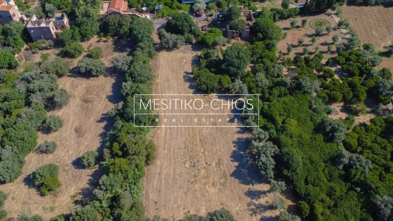Land in Chios, Aegean, Greece 5 - 16129740