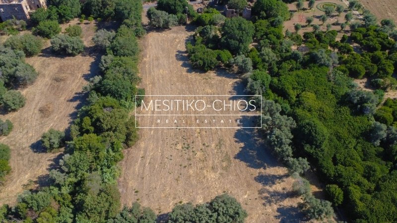 Land in Chios, Aegean, Greece 4 - 16129740