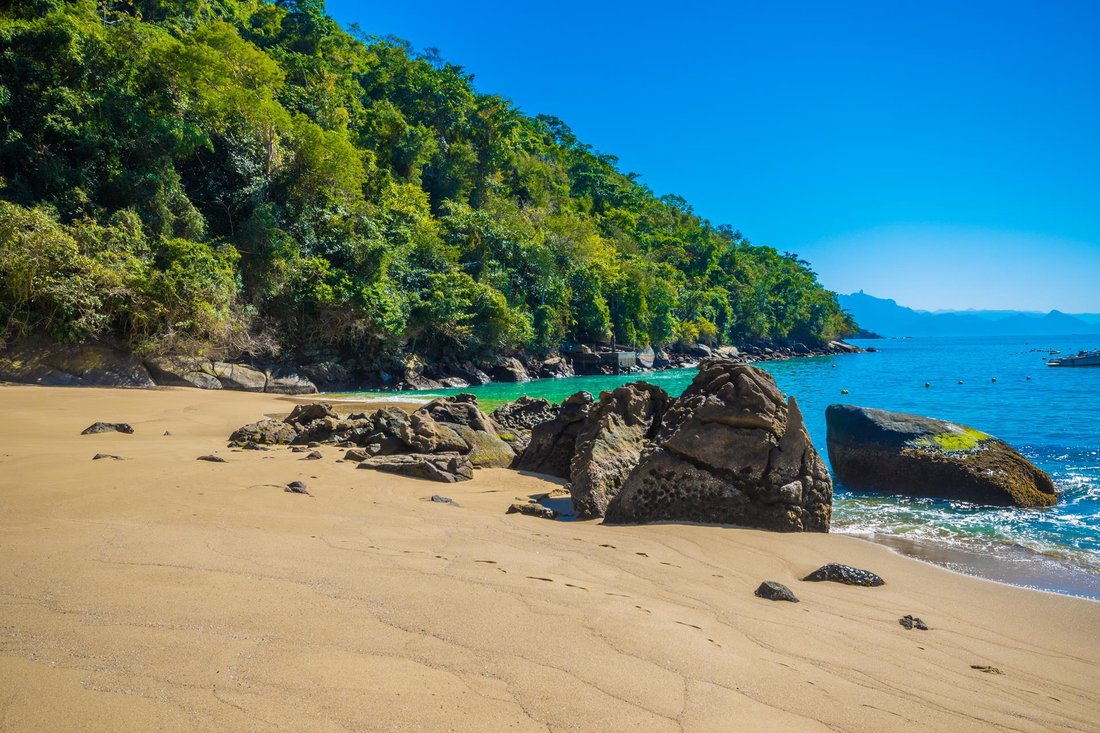 House in Paraty, United States 5 - 14609428