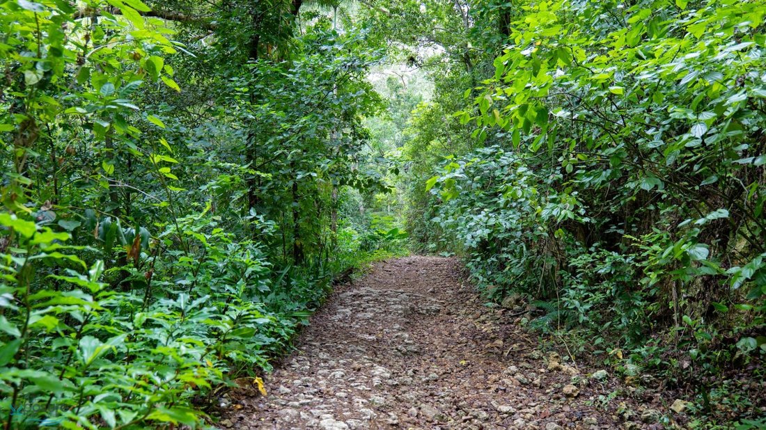 Land in Camuy, Camuy, Puerto Rico 4 - 16130999