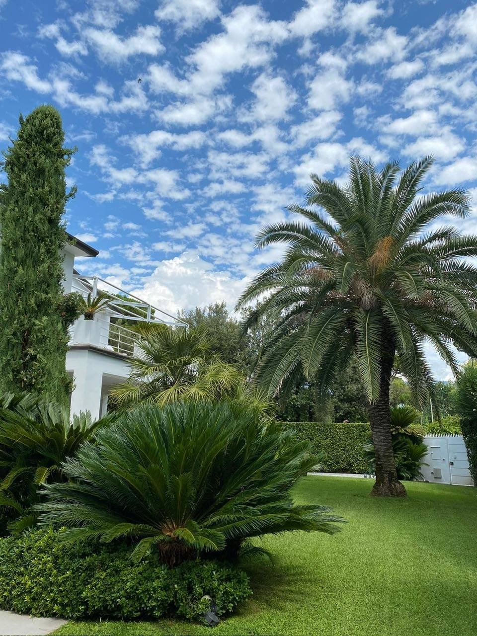 Villa in Roma Imperiale, Forte dei Marmi, Tuscany 4 - 16132690