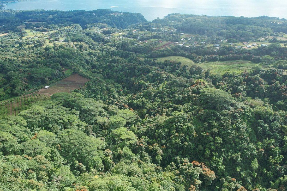 Land in AFAAHITI, Windward Islands, French Polynesia 5 - 16134922