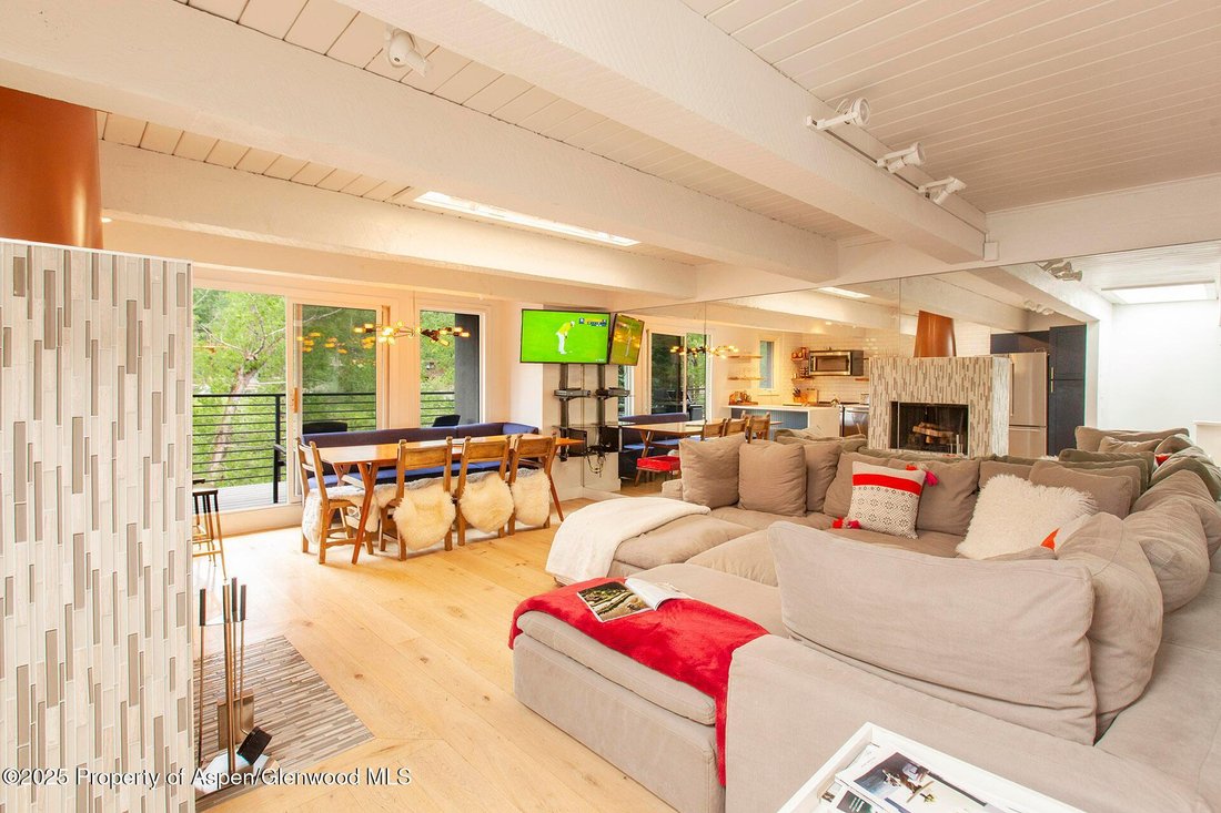 Condo in Aspen, Colorado, United States 3 - 16135771