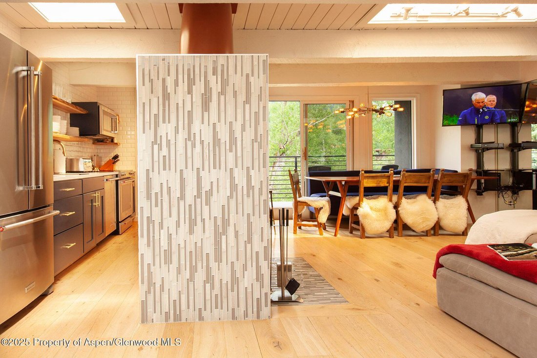 Condo in Aspen, Colorado, United States 4 - 16135771