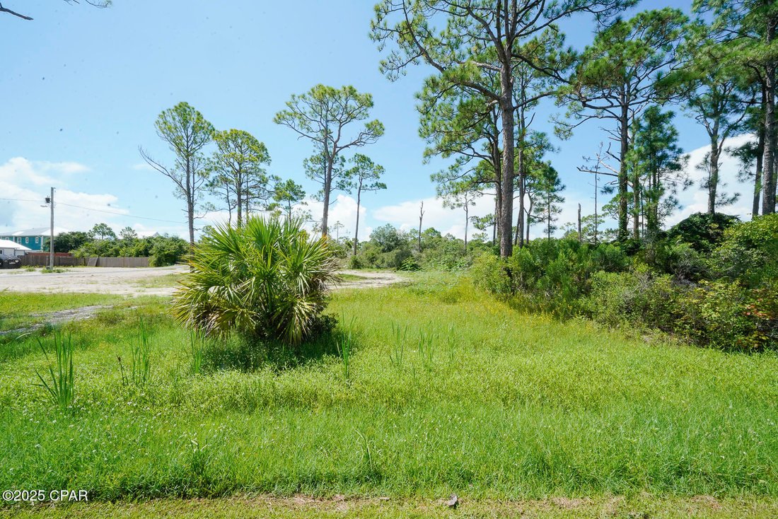 House in Port St. Joe, Florida, United States 2 - 16135668