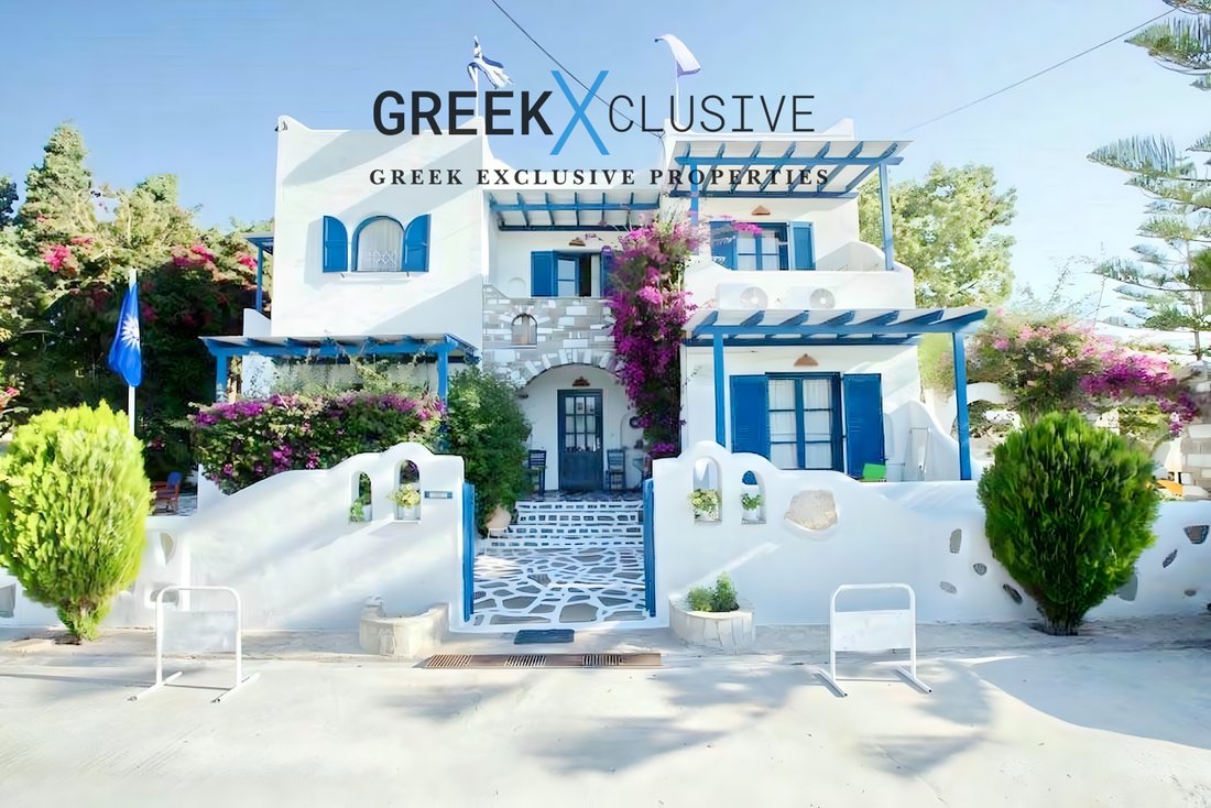 Estate in Paros, Aegean, Greece 1 - 16030049
