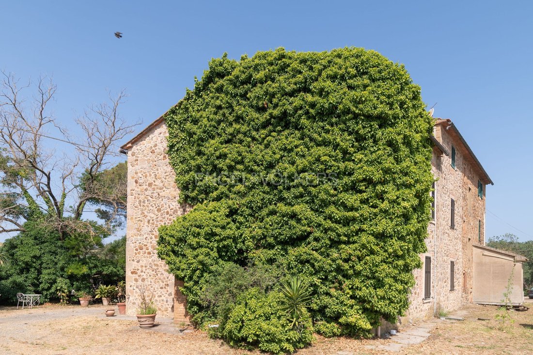 Country House in Ribolla, Tuscany, Italy 5 - 16140048