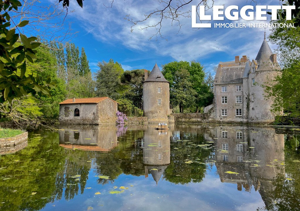 A Timeless Château Where History Whispers & Vineyards Glow