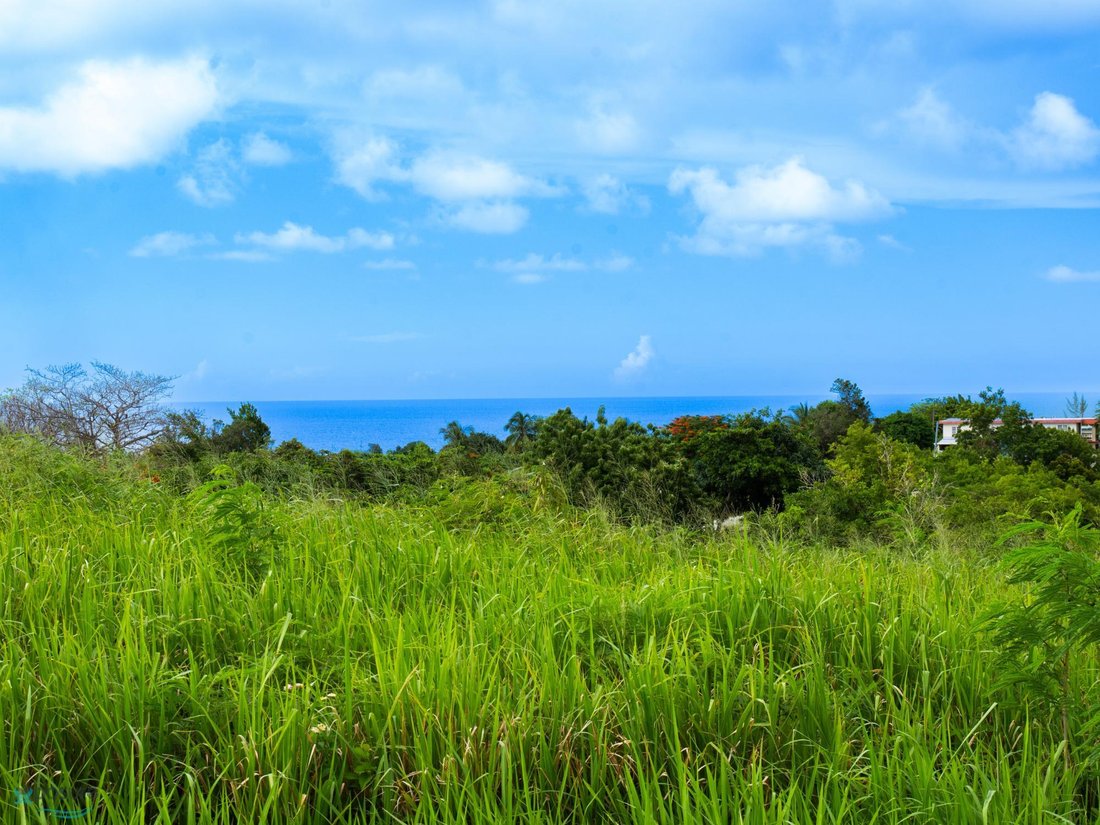 Land in Camuy, Camuy, Puerto Rico 3 - 16141555