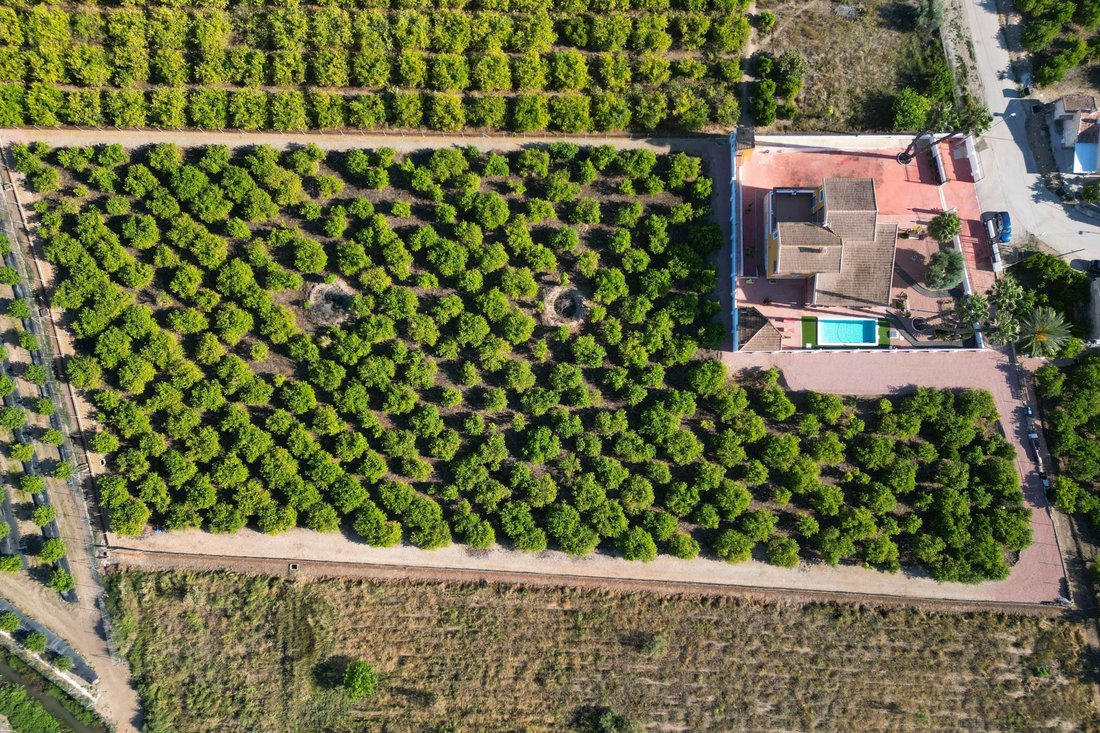 Villa in Orihuela, Valencian Community, Spain 2 - 14021367