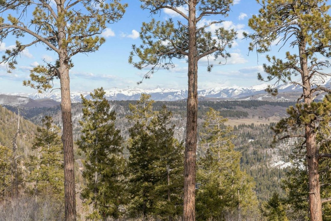 House in Ridgway, Colorado, United States 5 - 16139831
