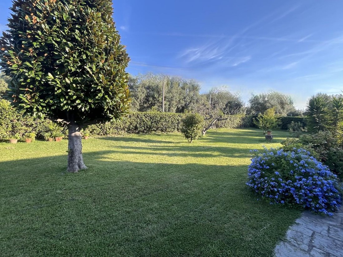 Villa in Seravezza, Tuscany, Italy 2 - 16142864