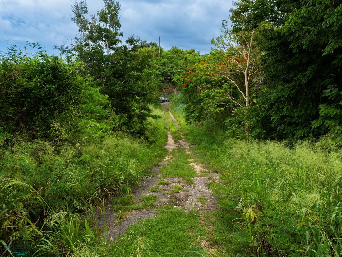 Land in Camuy, Camuy, Puerto Rico 4 - 16141559