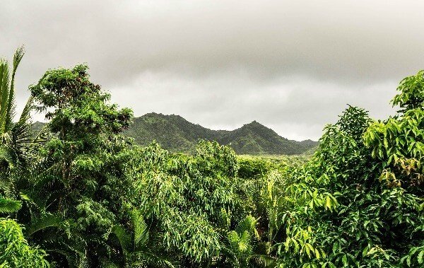 Land in Kilauea, Hawaii, United States 5 - 16144967