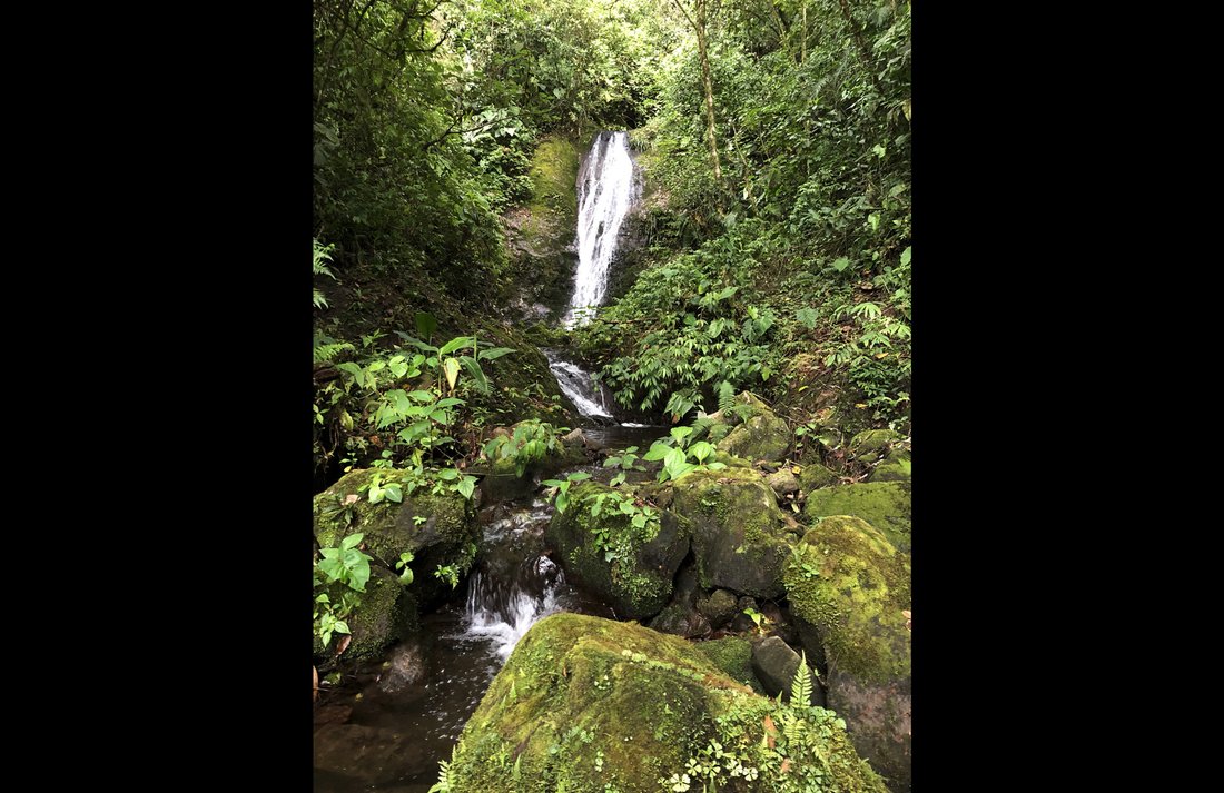 Estate in Cachí, Cartago Province, Costa Rica 5 - 16140024