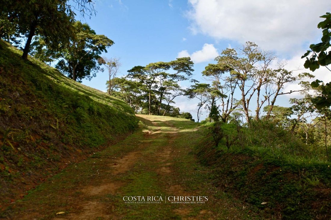 Cinchona, Alajuela Province, Costa Rica 4 - 16140277
