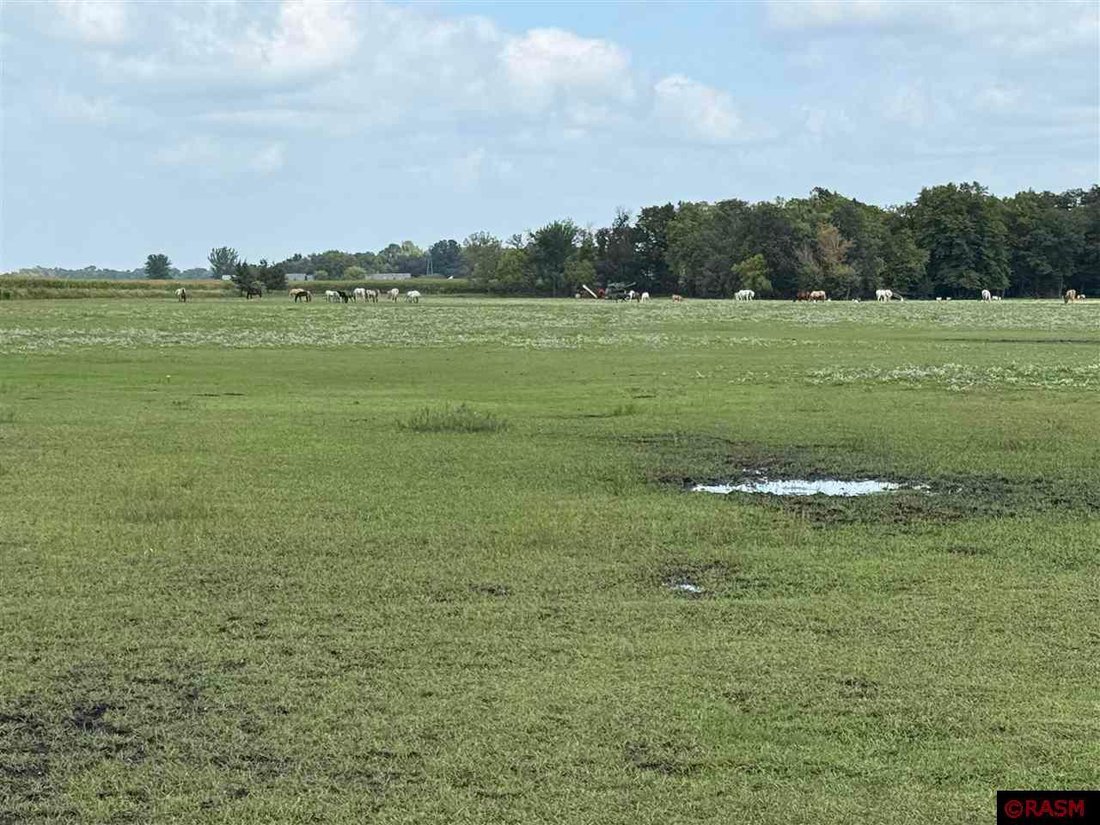 Land in North Mankato, Minnesota, United States 1 - 16138968