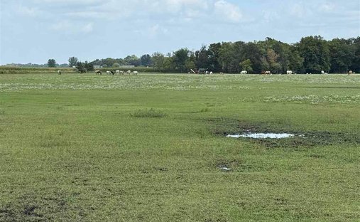 Land in North Mankato, Minnesota, United States 1