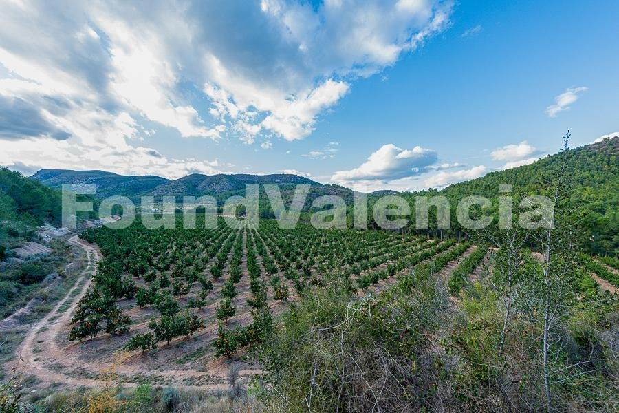 Farm Ranch in Onda, Valencian Community, Spain 1 - 16145553