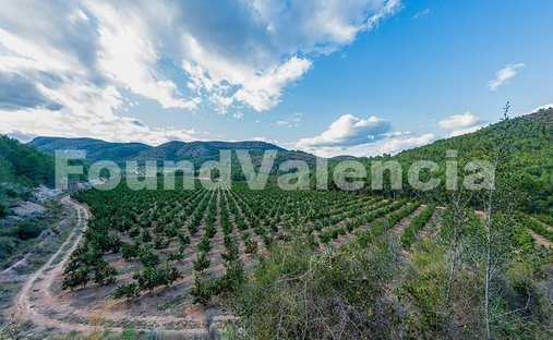 Rancho en Onda, Comunidad Valenciana, España 1