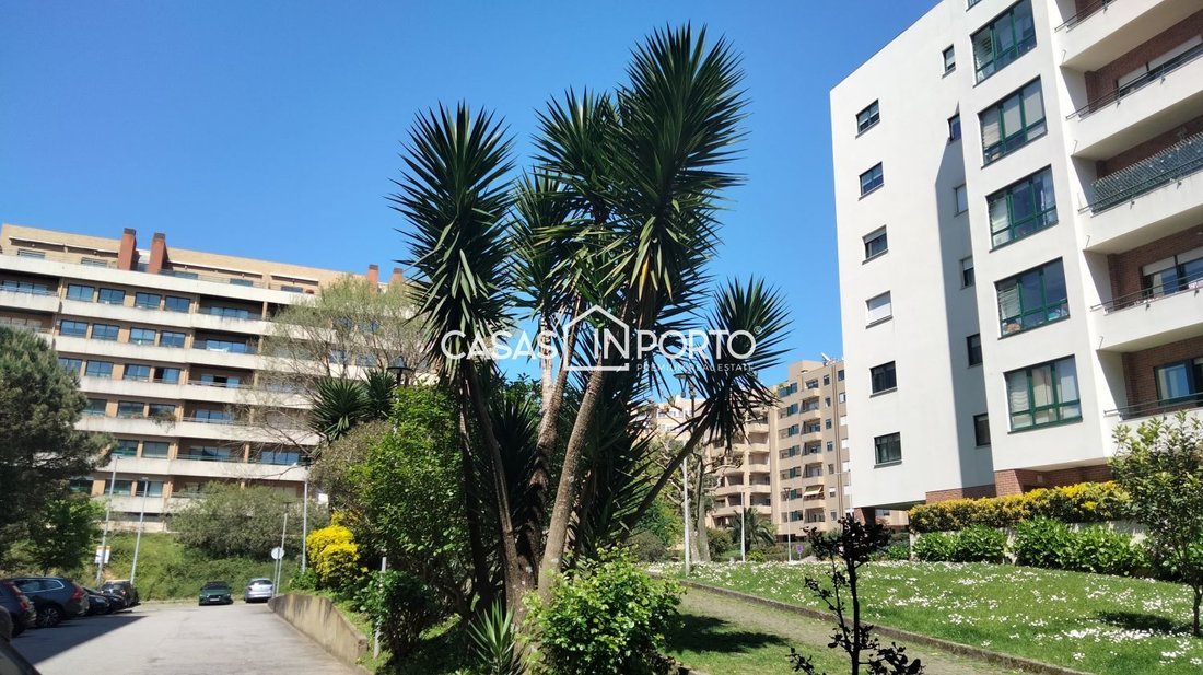 Apartment in Cedofeita, Santo Ildefonso, Se, Miragaia, Sao Nicolau e Vitoria, Porto District, Portugal 3 - 16142690
