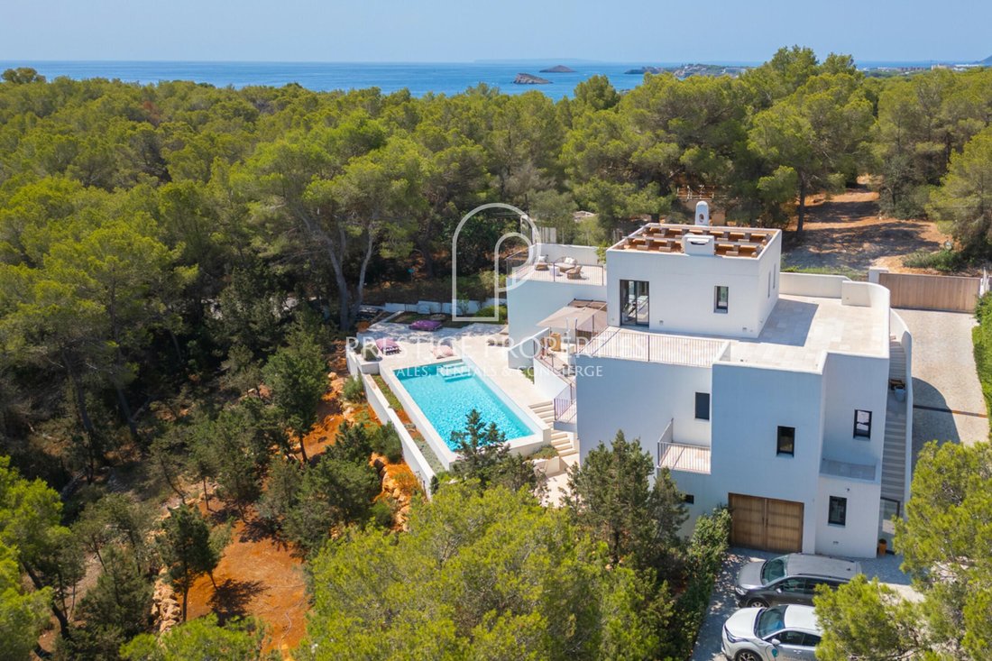 Villa in Cala Llenya, Santa Eularia des Riu, Balearic Islands 5 - 16135818
