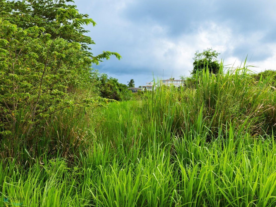 Land in Camuy, Camuy, Puerto Rico 2 - 16141555