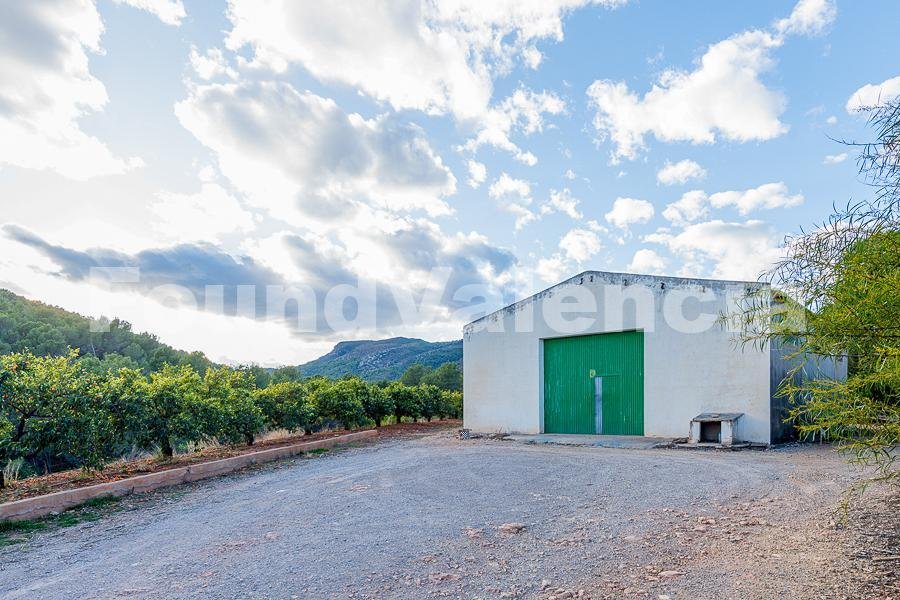 Farm Ranch in Onda, Valencian Community, Spain 4 - 16145553
