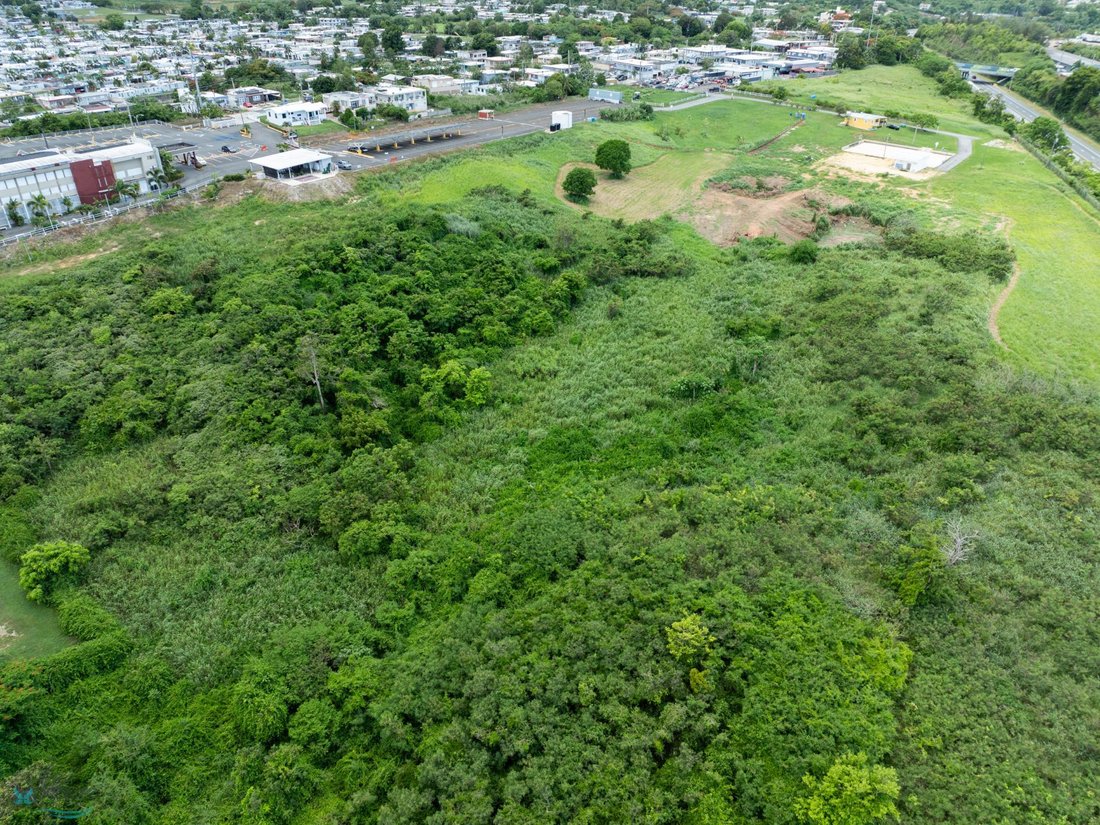 Land in Camuy, Camuy, Puerto Rico 5 - 16141555