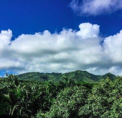 Land in Kilauea, Hawaii, United States 2 - 16144967
