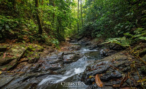 Land in 239, San José Province, Costa Rica 1