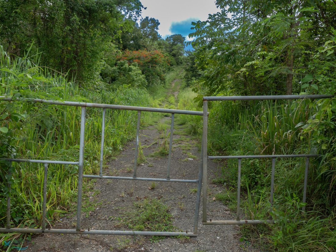 Land in Camuy, Camuy, Puerto Rico 3 - 16141559
