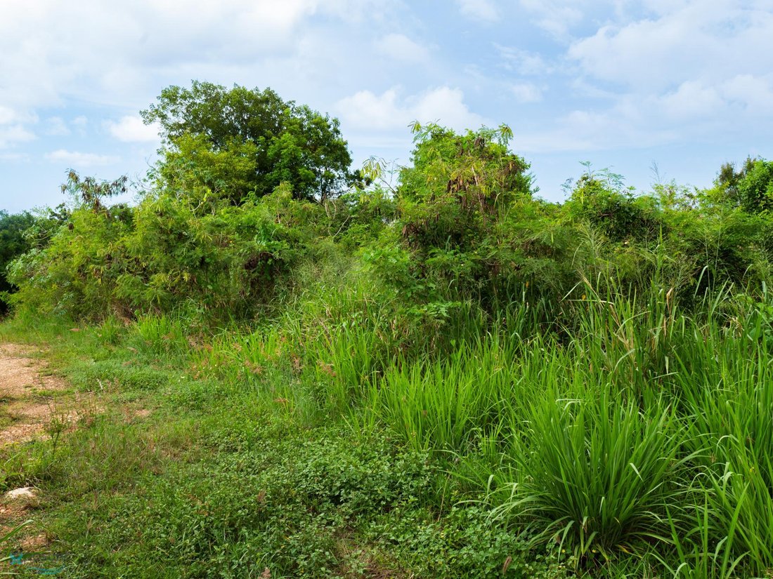 Land in Camuy, Camuy, Puerto Rico 5 - 16141559