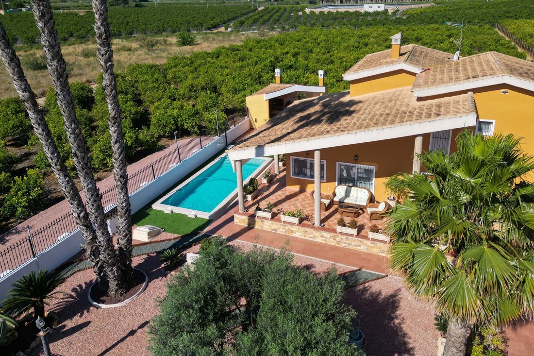 Villa in Orihuela, Valencian Community, Spain 4 - 14021367