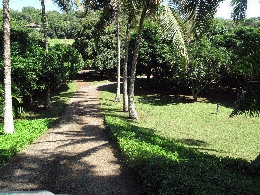 Land in Kilauea, Hawaii, United States 1 - 16144967