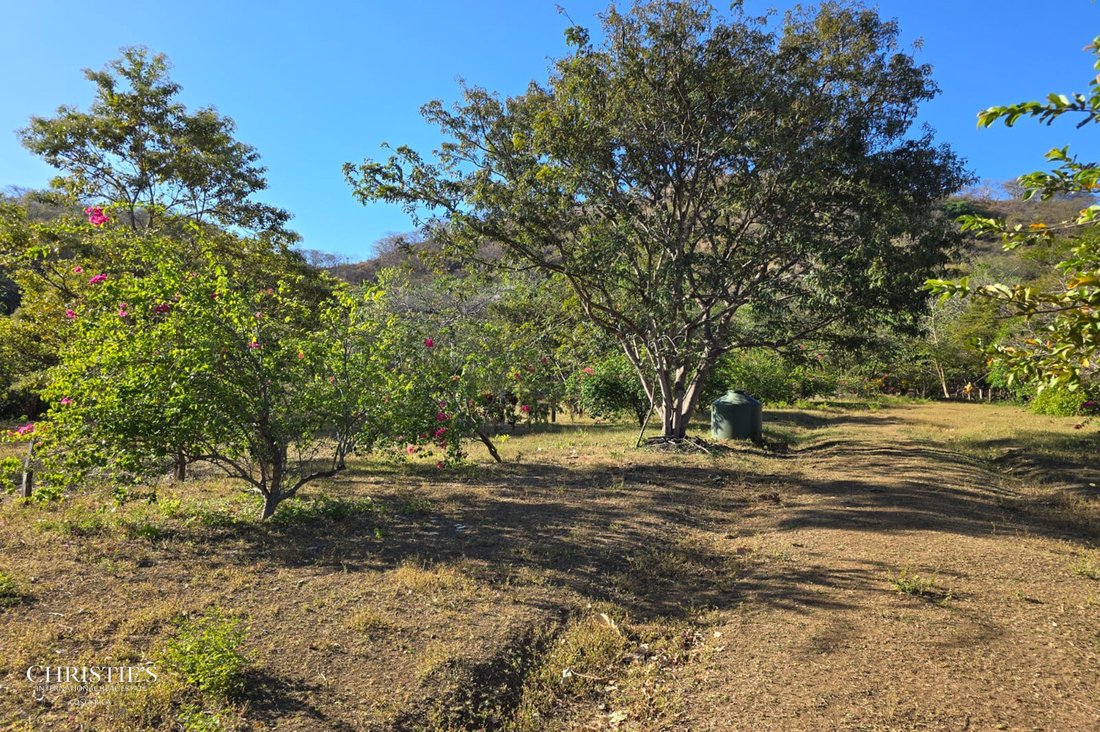 Santa Ana, Guanacaste Province, Costa Rica 4 - 16140797