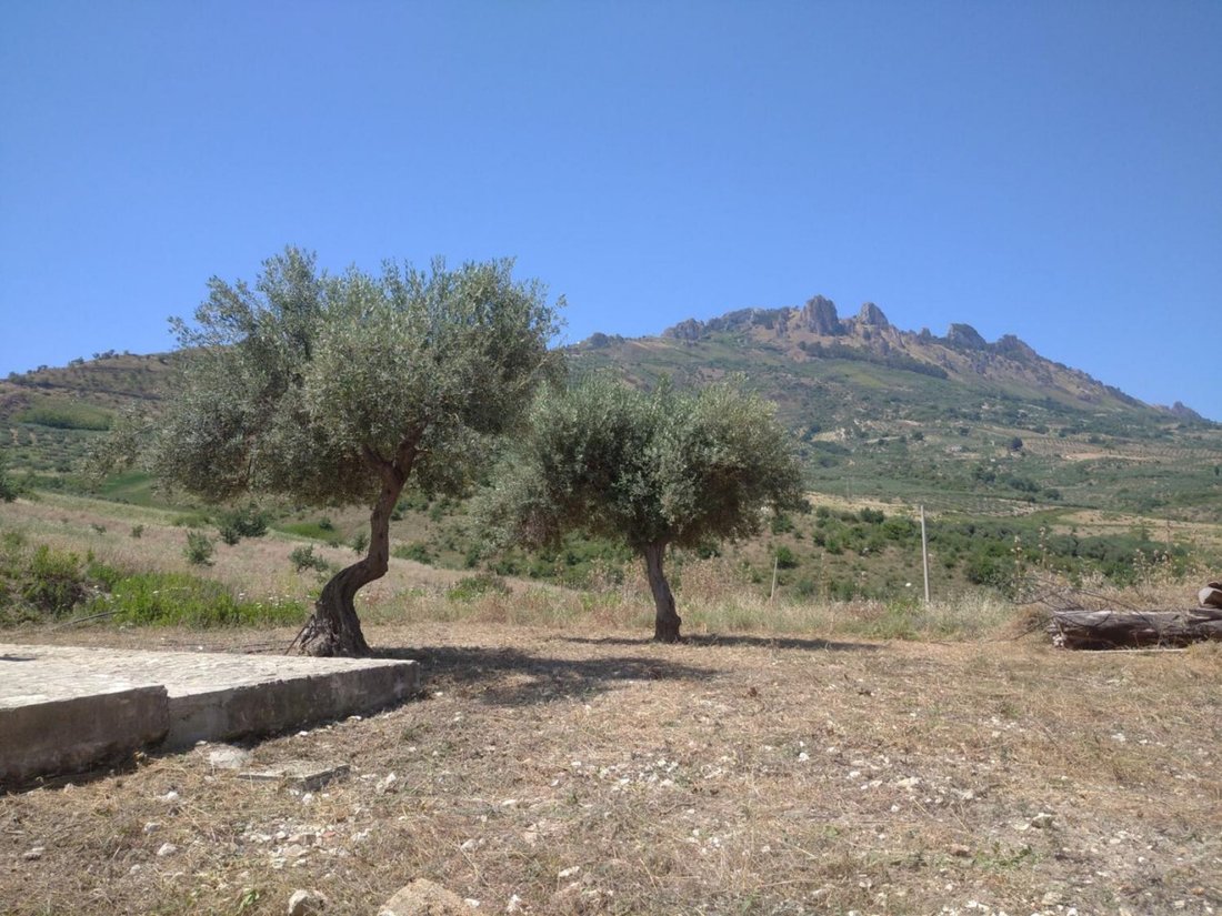 House in Caltabellotta, Sicily, Italy 3 - 16138978
