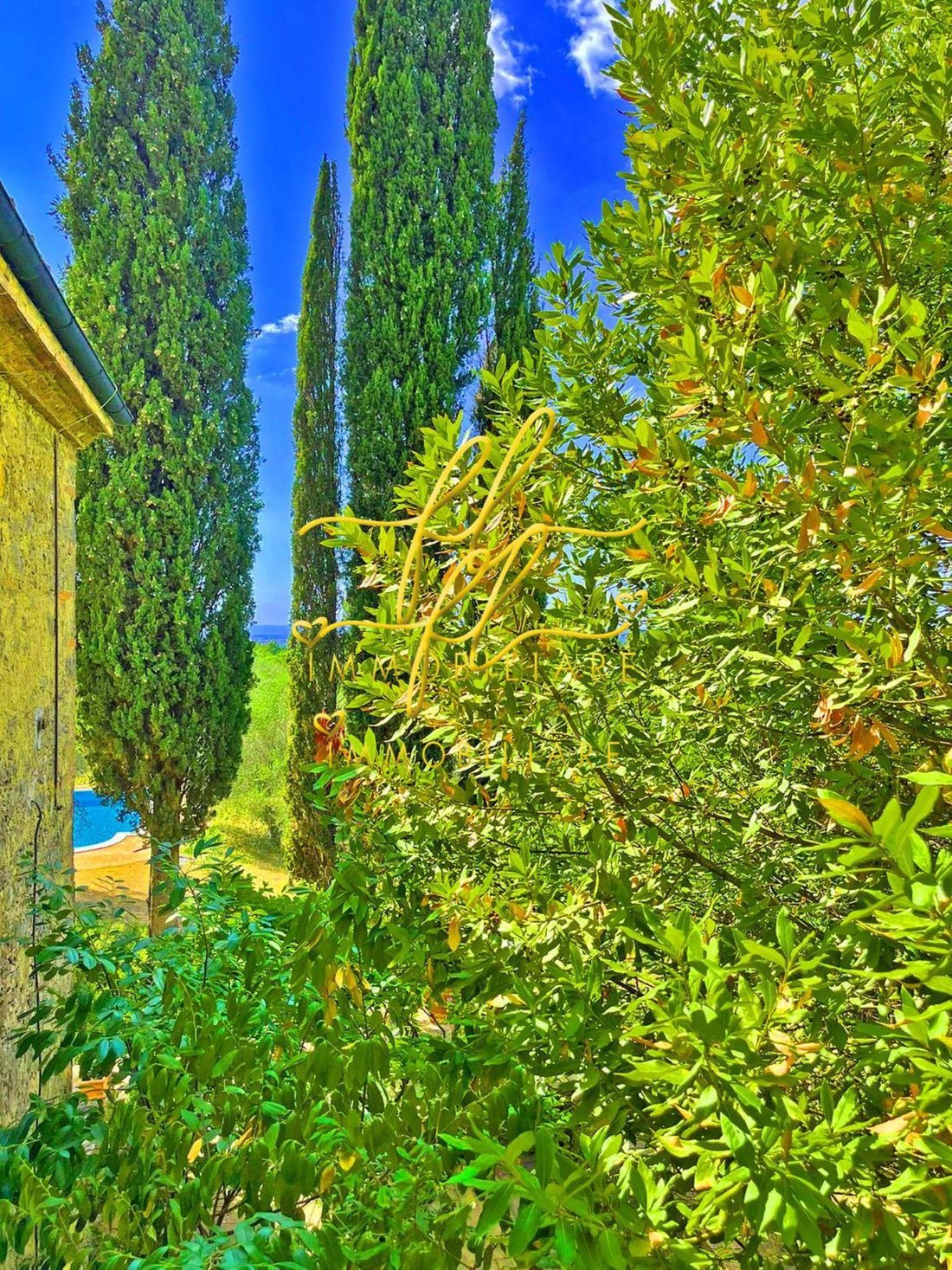 House in Guardistallo, Tuscany, Italy 3 - 16142865